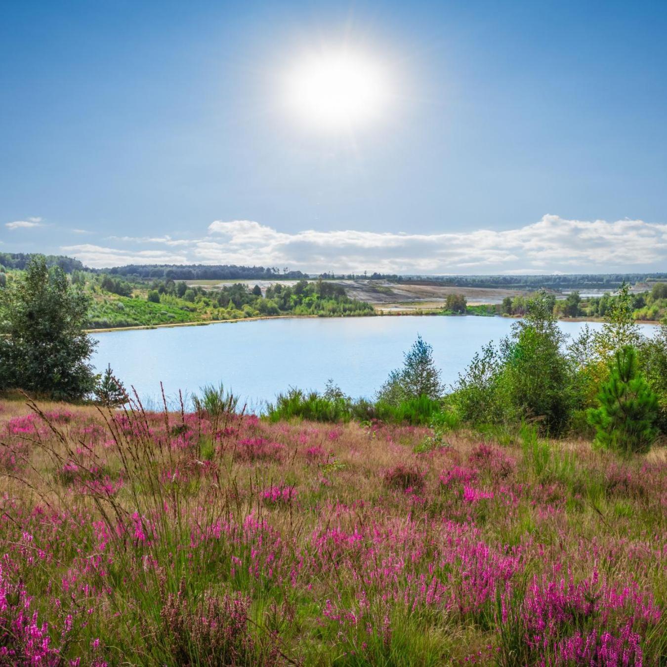 Chalet In Het Bos - Gezin - Wandelaars - Digital Nomads - Hs Wifi - Fijnspar 108 Aan de Wolfsberg Eksteriør billede