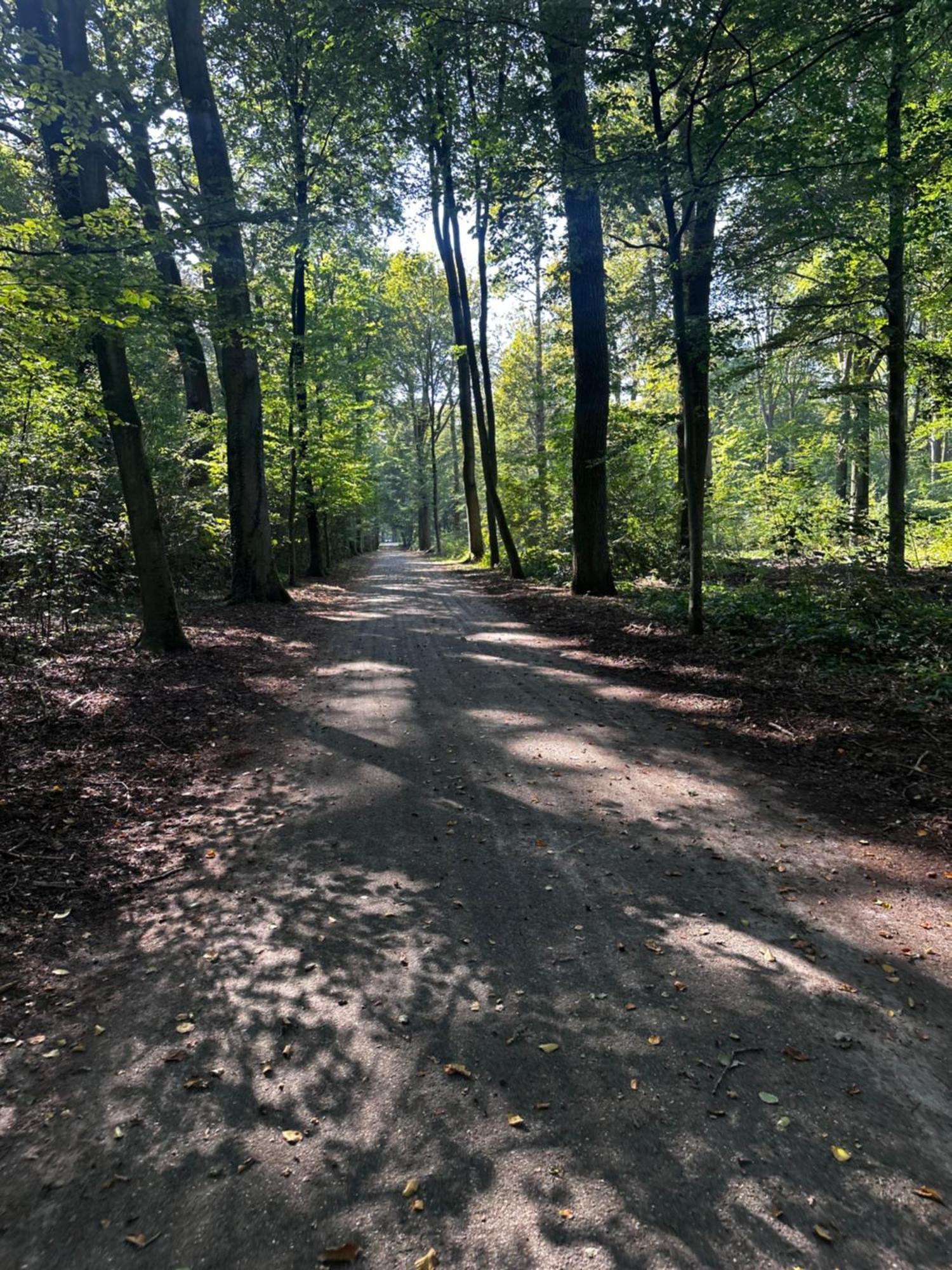 Chalet In Het Bos - Gezin - Wandelaars - Digital Nomads - Hs Wifi - Fijnspar 108 Aan de Wolfsberg Eksteriør billede
